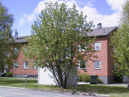 Storgatan, 934 51, Byske