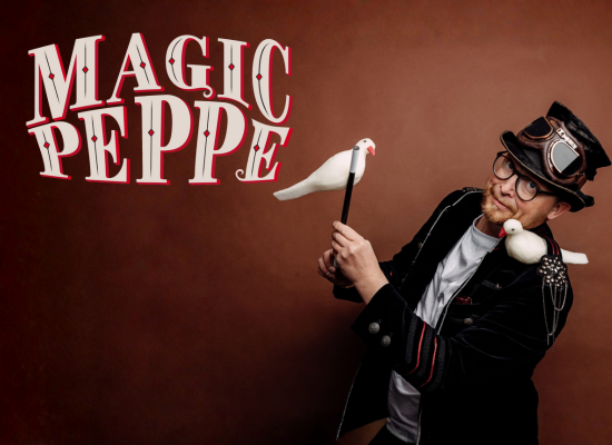 Trollkarl i hatt med trollstav och fåglar