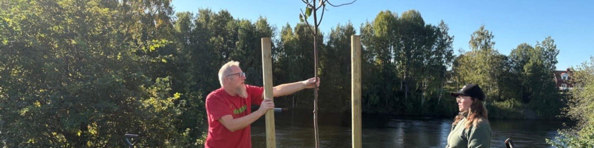 Två äldre personer med flyttkartonger och växter i ett ljust rum